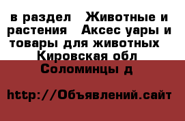  в раздел : Животные и растения » Аксесcуары и товары для животных . Кировская обл.,Соломинцы д.